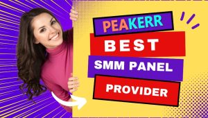 Best-Cheapest-SMM-Panel-Provider-1