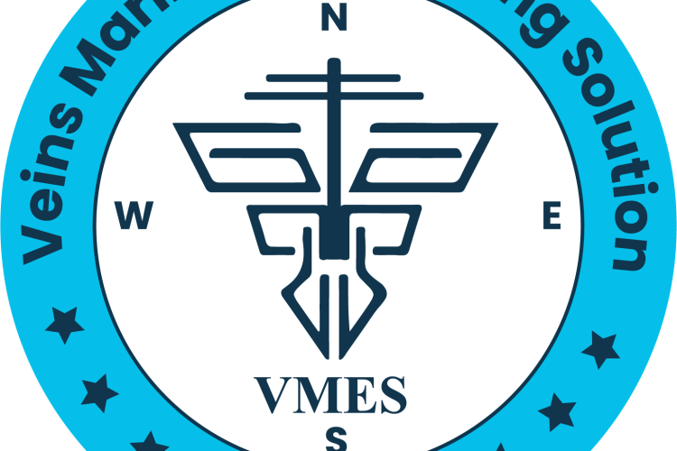 Veins Marine Engineering Solution 10 veins merin logo png