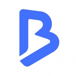 bigdiib-digital-agency-logo.jpg