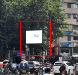 Bata-Signal-Elephant-Road-1