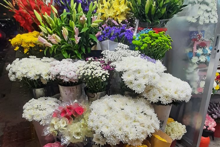 Zepora X –"Flower Shop” 5 20241231 202926 3