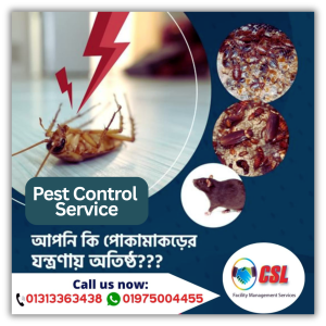 Pest-Control-service
